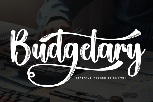 Budgetary: The Handwritten Typeface That Elevates Campaign Visuals