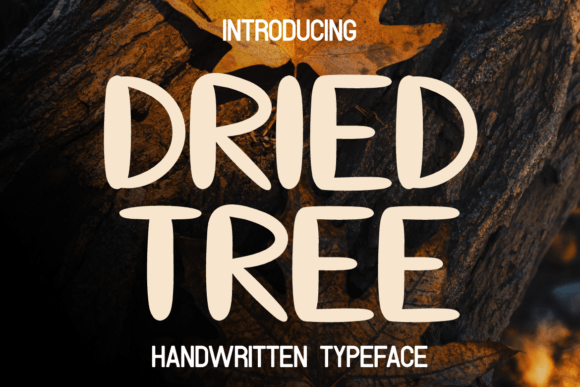 Dried Tree: The Perfect Typeface for Warm Brand Identity