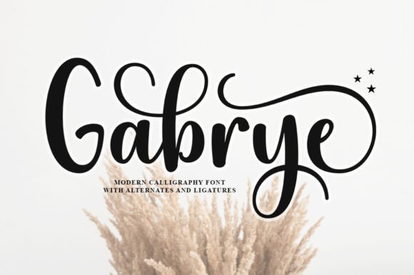 Gabrye: A Script Amp Font Worth Your Next Brand Project